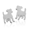 Jack Russell Terrier Studs