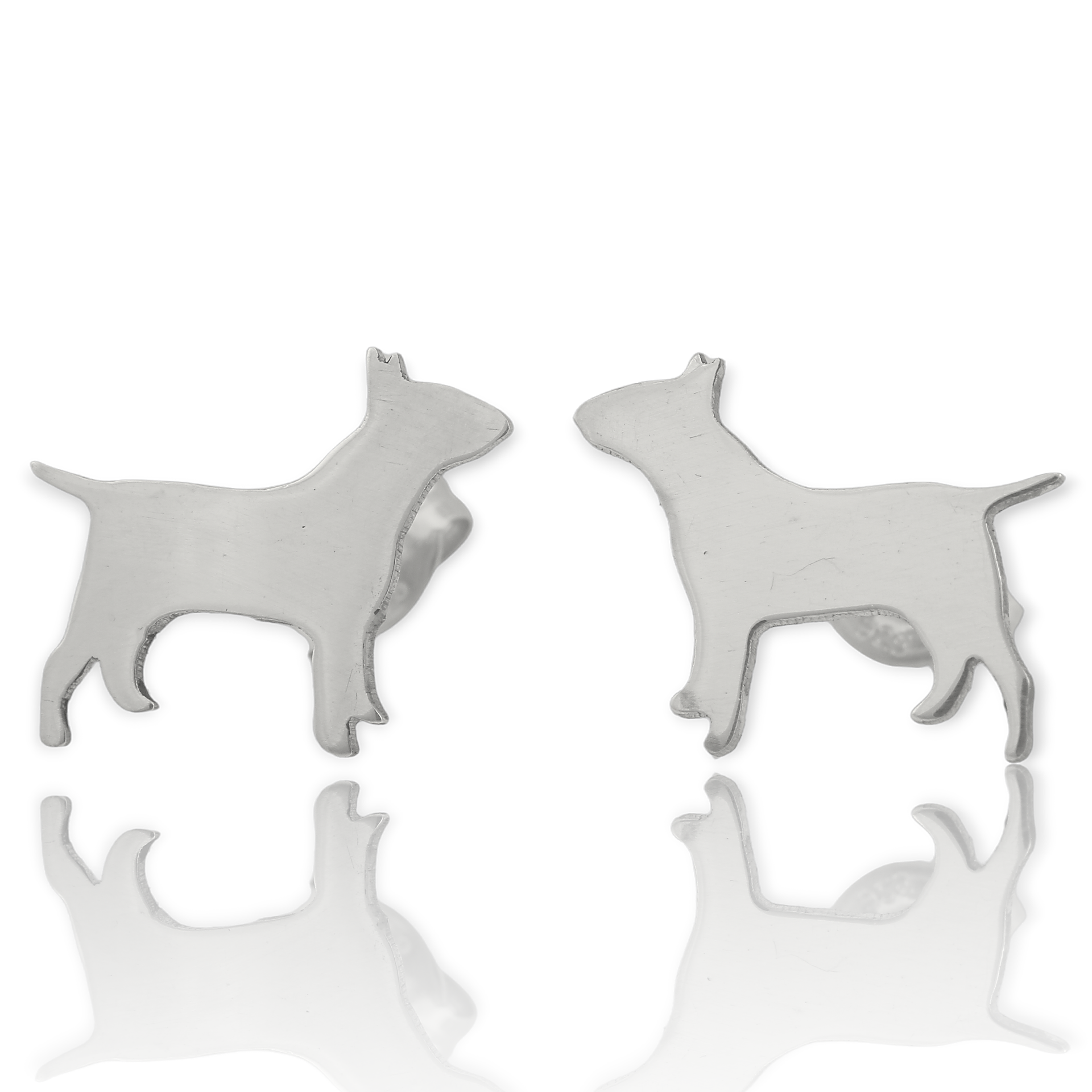 Bull Terrier Studs