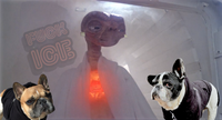 Characters Wear CD Meme: The Extra Terrestrial wearing F*CK ICE ear studs and two frenchies on the sides in hoodies.  