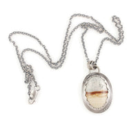 Dessert Portrait: Picture Jasper with Cactus Back