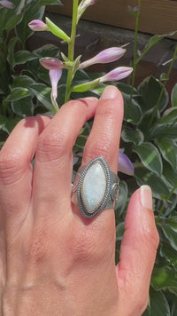 Video of a hand modeling - A wide silver ring featuring a large oval diamond cabochon moonstone with a soft gray-blue iridescent sheen, set in a textured band with a decorative skull motif.