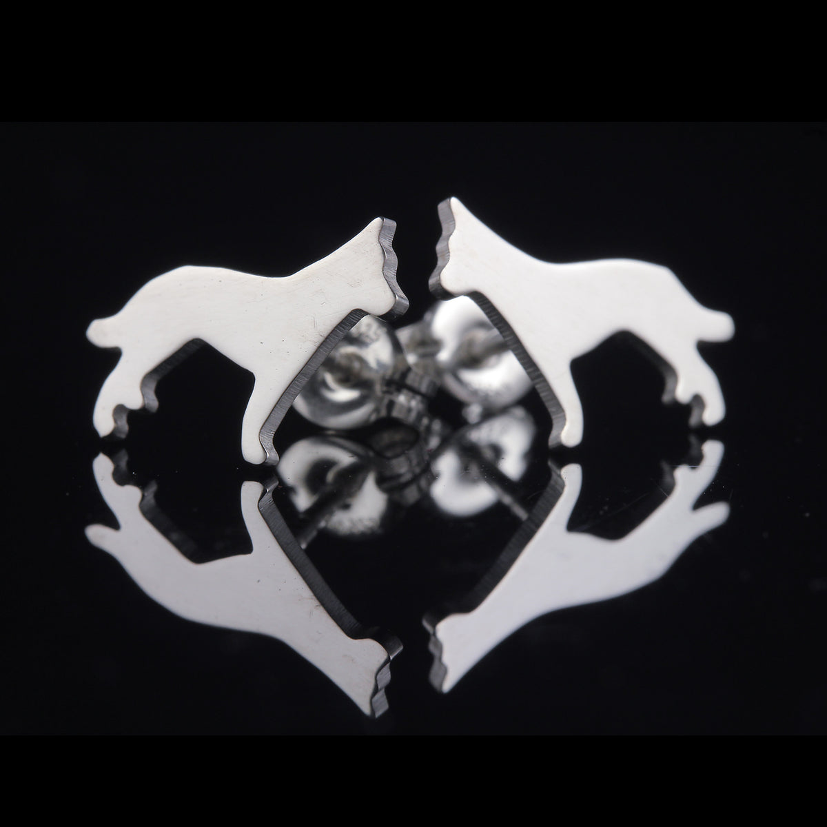 Australian Cattle Dog Studs Creative Dexterity