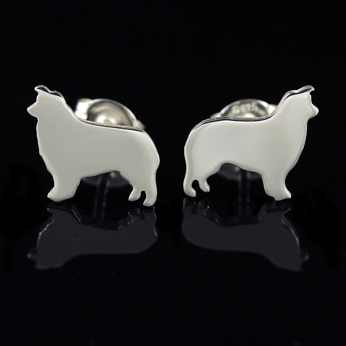 Australian Shepherd Studs Creative Dexterity