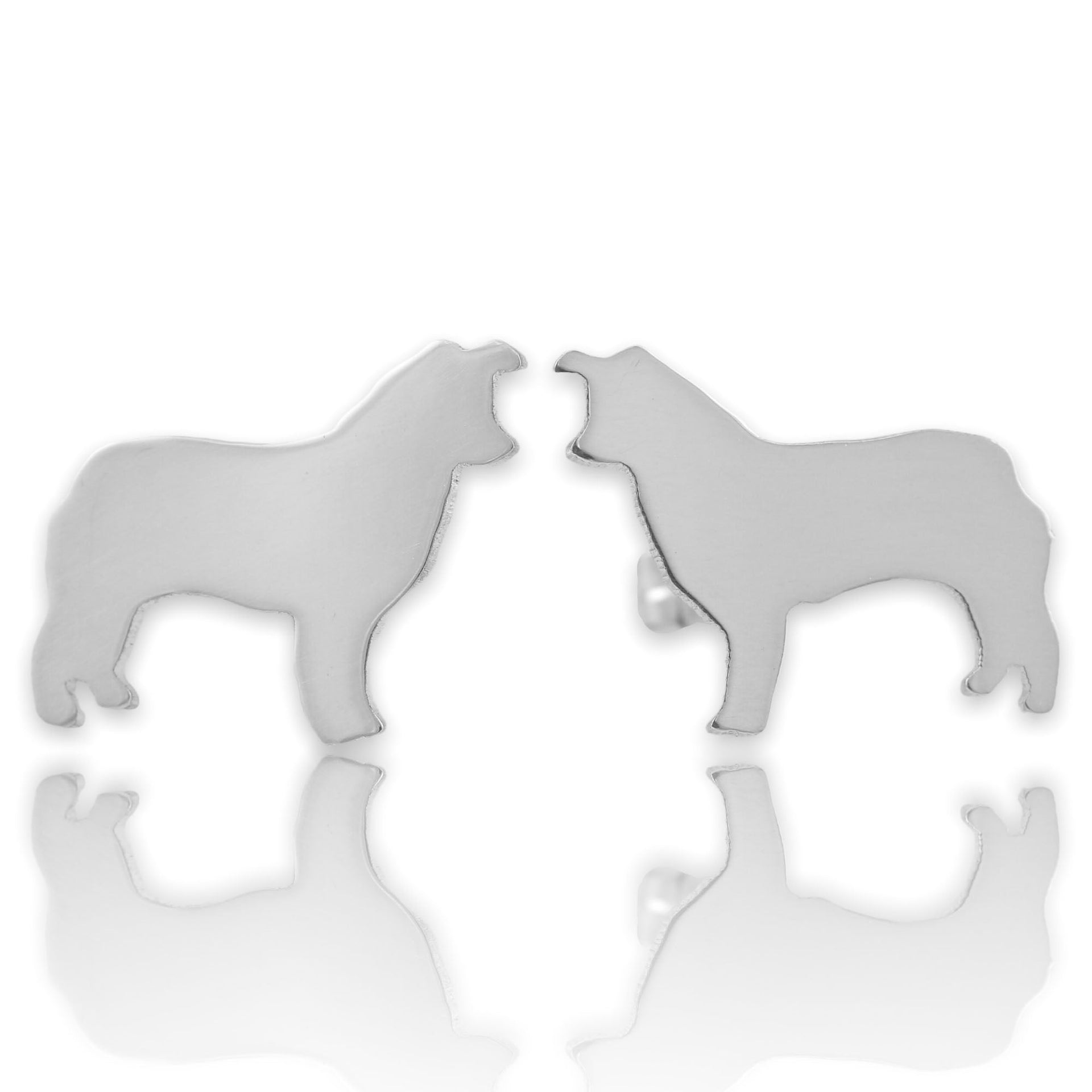 Australian Shepherd Studs