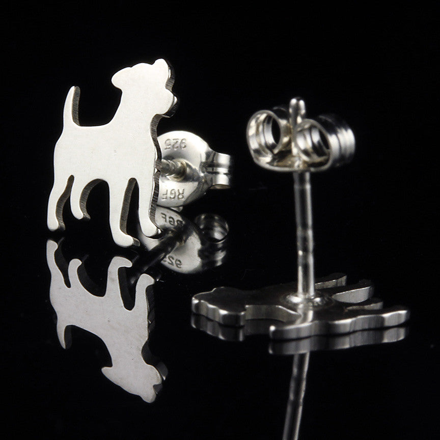 Jack Russell Terrier Studs Creative Dexterity