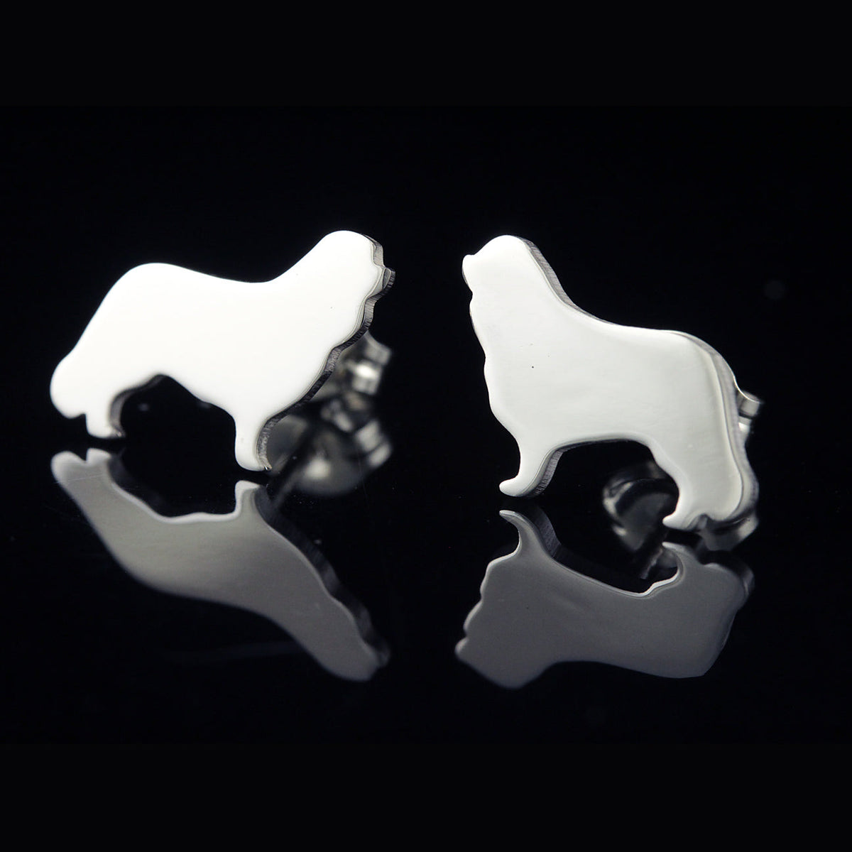 Cavalier King Charles Spaniel Studs Creative Dexterity