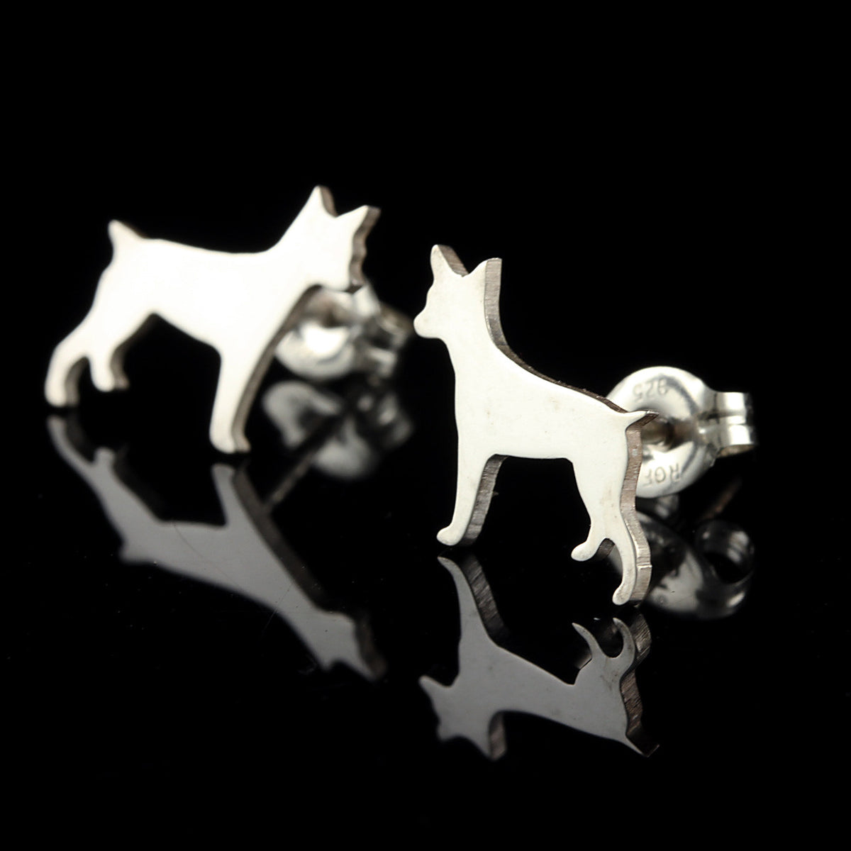 Rat Terrier Studs Creative Dexterity