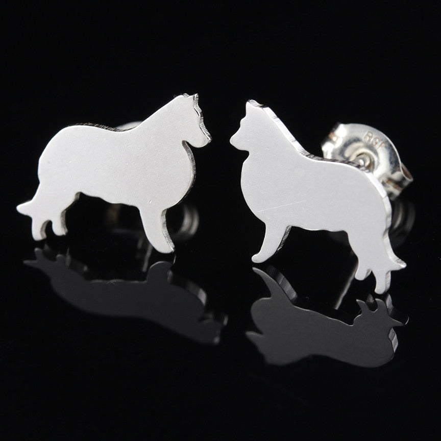 Border Collie or Sheltie Studs Creative Dexterity